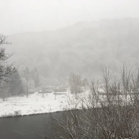 Des Roches